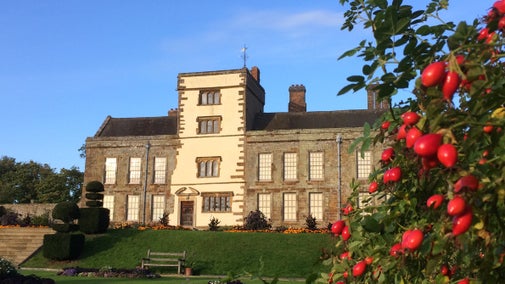 An autumn view of Canons Ashby with rosehip bushes in foreground